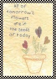 seeds of today pattern